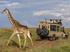 Kenya: Masai Mara, Tsavo & Coastal Wonders - 9 Days
