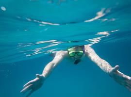 Solo-ish Ecuador & Galapagos - 15 Days