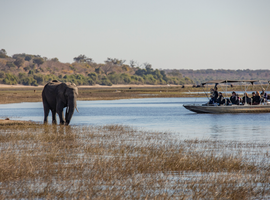 Complete Botswana: National Parks & Delta Wildlife - 7 Days