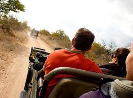 Ultimate African Safari: Kruger, Hwange, Chobe, & the Okavango Delta - 18 Days
