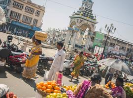 India: Kochi & Goa's Golden Beaches - 14 Days