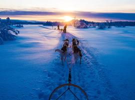 Winter in Finland: Lapland & Northern Lights - 7 Days