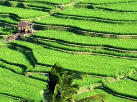 Indonesia: Bali Adventure - 9 Days