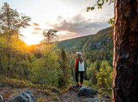 Finnish Lapland Discovery - 7 Days