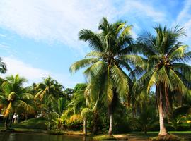 Solo-ish Guatemala - 9 Days