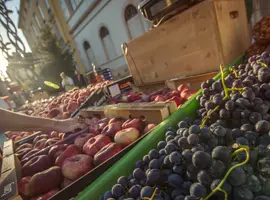 Local Living France: Toulouse - 7 Days