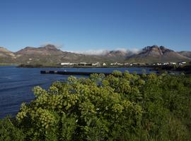 Local Living Iceland— Bakkagerði - 6 Days