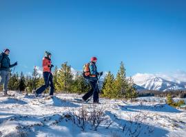Canadian Rockies Winter Adventure - 7 Days