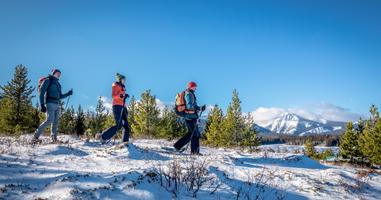 Canadian Rockies Winter Adventure - 7 Days