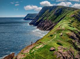 Newfoundland Adventure: From Deer Lake to St. John's - 8 Days