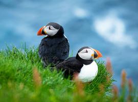 The Scottish Isles: An Expedition Through History & Highlands - 10 Days