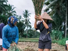 Lombok & Gili Adventure: Culture, Peaks & Paradise - 7 Days
