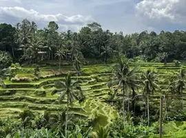 Bali’s Wild Heart: Soul, Surf & Spirit - 9 Days