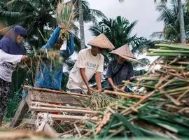 Bali to Lembongan: Island Hopping Bliss - 11 Days