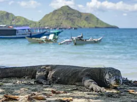 Bali to Flores: Trails, Tribal Villages & Dragon Lagoons - 17 Days