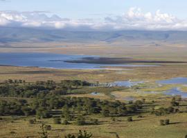 Kenya & Tanzania: Maasai Mara, Serengeti & Zanzibar Highlights - 14 Days