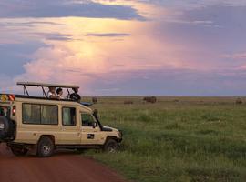 Maasai Mara Safari: Legendary Wildlife & Cultural Safari - 4 Days