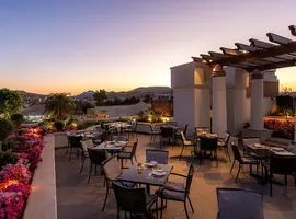 Signature: Jordan's Petra, Wadi Rum & the Dead Sea - 8 Days