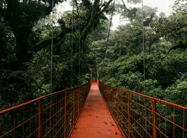 Signature: Costa Rica's Tortuguero, Arenal & Cloud Forests - 12 Days