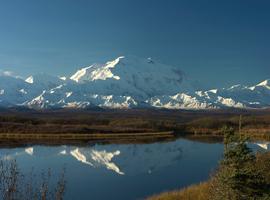 Signature: Alaska's Fairbanks, Denali & the Kenai Peninsula - 8 Days