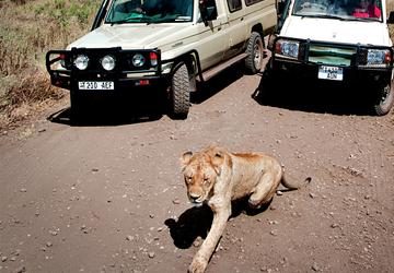 Image 2 of 13