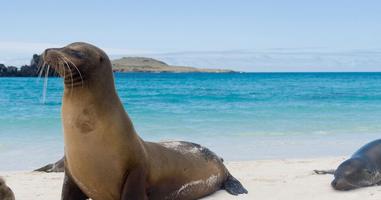Classic Galapagos: Southern Islands (Grand Queen Beatriz) - 10 Days