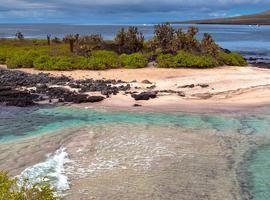 Galapagos Encounter: Southern Islands (Grand Queen Beatriz) - 6 Days