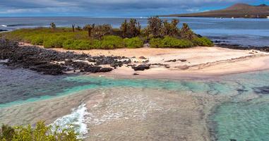 Galapagos Encounter: Southern Islands (Grand Queen Beatriz) - 6 Days