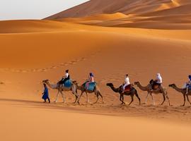 Morocco: Hike & Bike - 9 Days