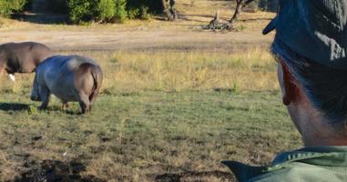 Botswana Adventure - 10 Days