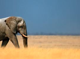 Namibia Discovery - 14 Days