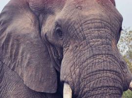 Garden Route Adventure - 14 Days
