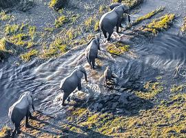 Okavango Experience - 10 Days