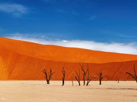 Premium Namibia - 10 Days