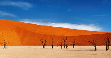 Premium Namibia - 10 Days