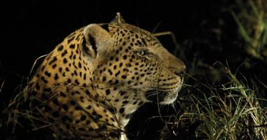 Kruger to Vic Falls - 8 Days