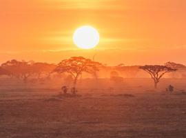 Gorillas & East Africa Safari - 18 Days