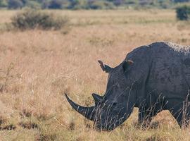 Botswana Highlights - 9 Days