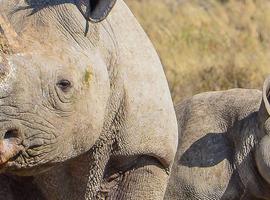Botswana Family Safari with Teenagers - 10 Days