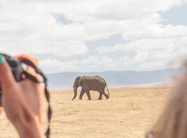 Nairobi to Stone Town - 9 Days