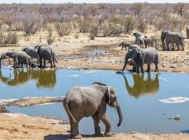 South Africa Family Safari with Teenagers - 12 Days