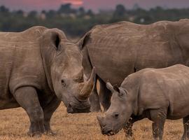Okavango & Beyond - 9 Days