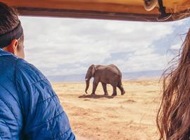 Premium Tanzania - 8 Days