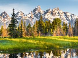 Yellowstone and Grand Tetons Adventure - 6 Days
