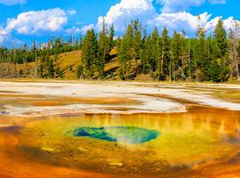 South Dakota to Yellowstone Parks Explorer		 - 7 Days
