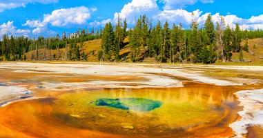 South Dakota to Yellowstone Parks Explorer		 - 7 Days