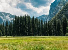 Best of California's National Parks - 7 Days