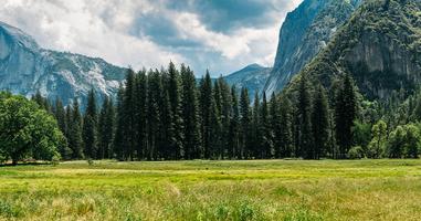 Best of California's National Parks - 7 Days