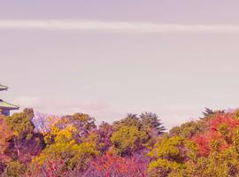 Southern Japan Experience - 12 Days