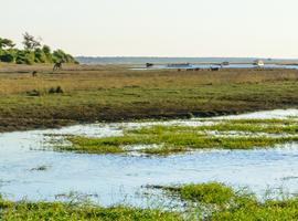 Premium Southern Africa in Depth - 14 Days